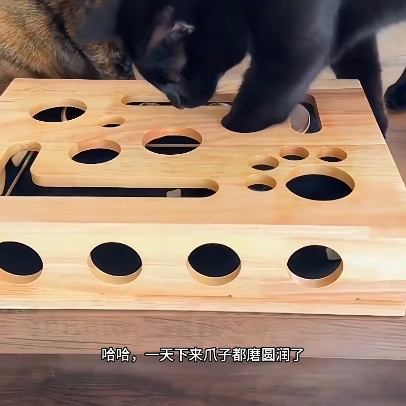 Royi Store Claw Labyrinth Cat  - Board Game Store review and price